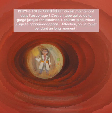 La digestion en s'amusant - Image 2