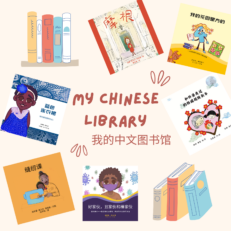 Chinese Library Cover